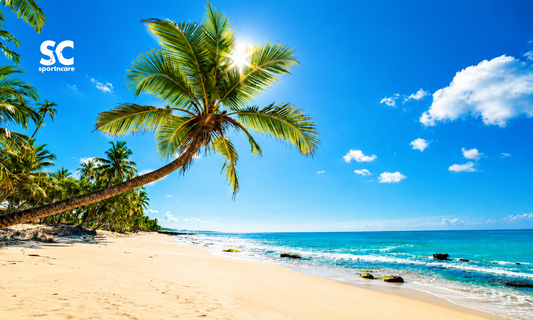 BEACH VIEW TOWEL